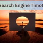 MyLife Search Engine Timothy Ross